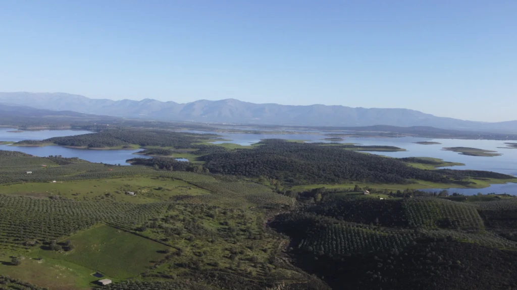 Panorámica local, imagen de portada