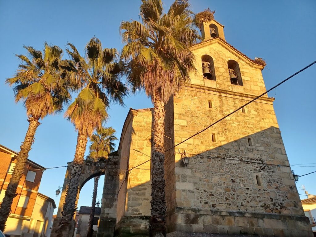 Fotografía de la Iglesia de Nuestra Señora de la Asunción, en la cual se puede ver varias palmeras, el campanario con varios nidos de cigüeñas.